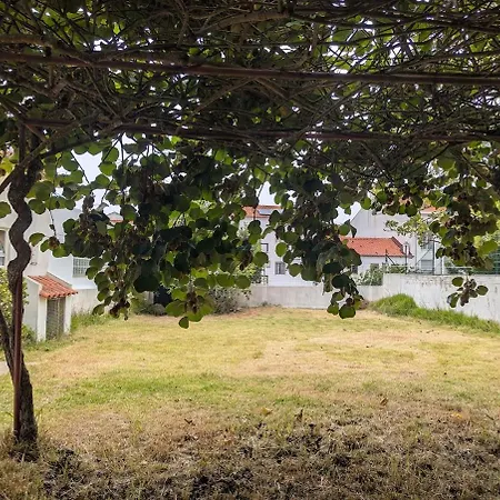 Appartement Casa 5